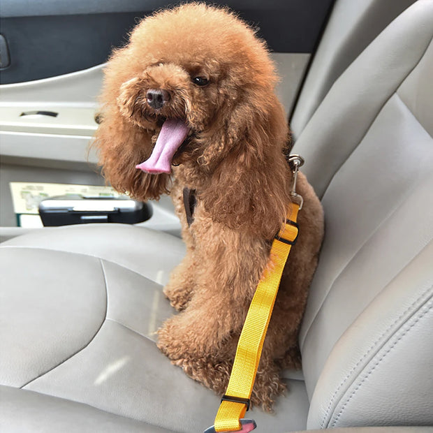 Adjustable  Pet Car Safety Belt