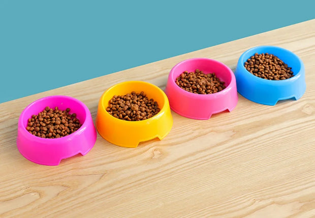 Colorful Pet Bowl  Feeding Food Water Bowl