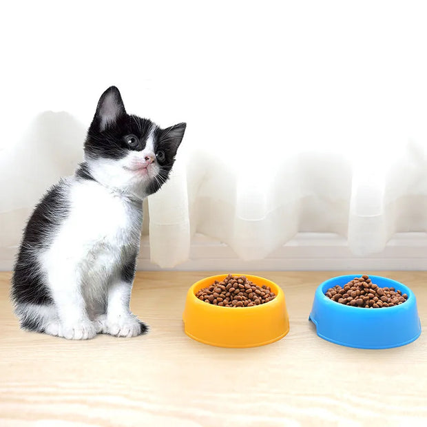 Colorful Pet Bowl  Feeding Food Water Bowl