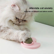 Cat Toy Accessories for Cats