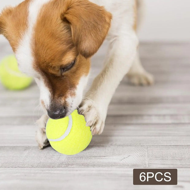 6Pcs Tennis Balls High Bounce for Dog