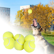 6Pcs Tennis Balls High Bounce for Dog