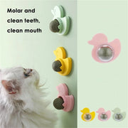 Cat Toy Accessories for Cats