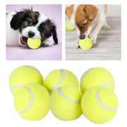 6Pcs Tennis Balls High Bounce for Dog