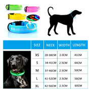 Led Dog Collar Light Anti-lost