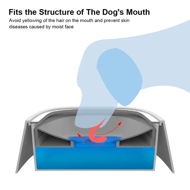 Pet Supplies Slow Water Feeder Dispenser