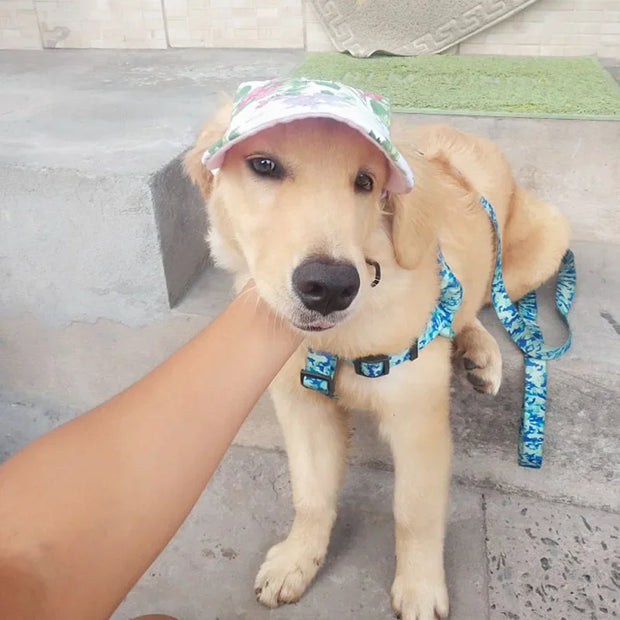 Sun Hat Outdoor Hiking Pet Products