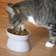 ,Non-slip Cat Bowls  Pet Bowls