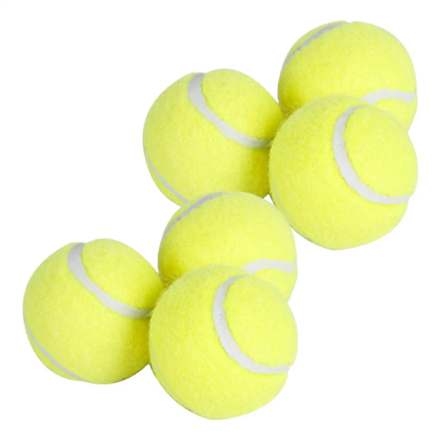 6Pcs Tennis Balls High Bounce for Dog